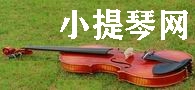 小提琴网